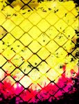 hny_2022_001bg